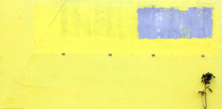 Wat zijn de kleuren van 2021? kleuren